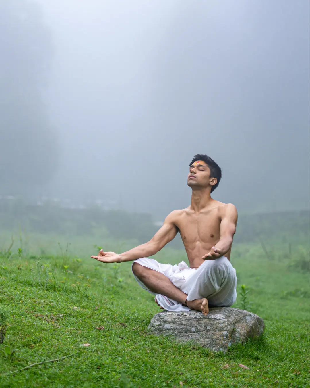 Essential yoga for life