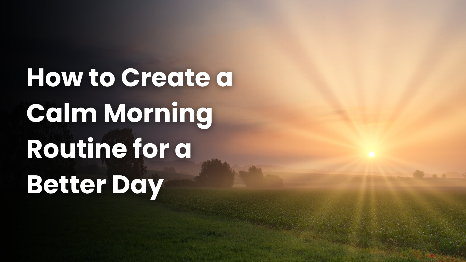 Read more about the article How to Create a Calm Morning Routine for a Better Day